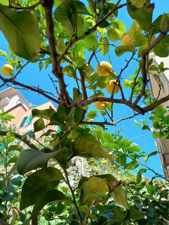 Lemons House Appartement Monterosso al Mare Buitenkant foto